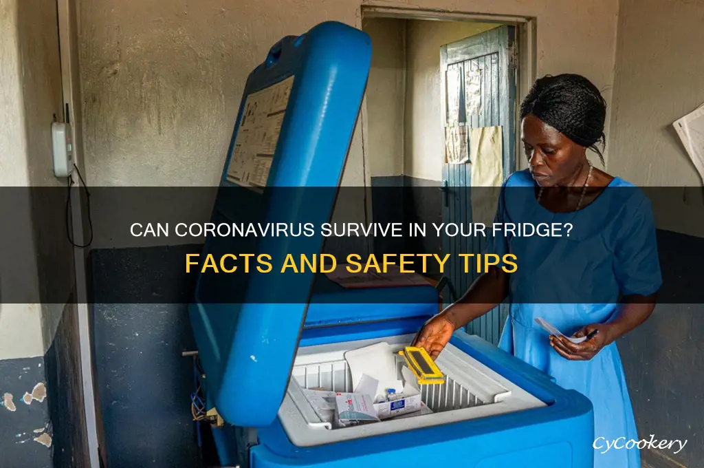 can the corona virus live in refrigerator
