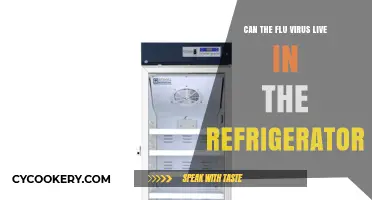 Can Flu Viruses Survive in Your Refrigerator? Facts Revealed