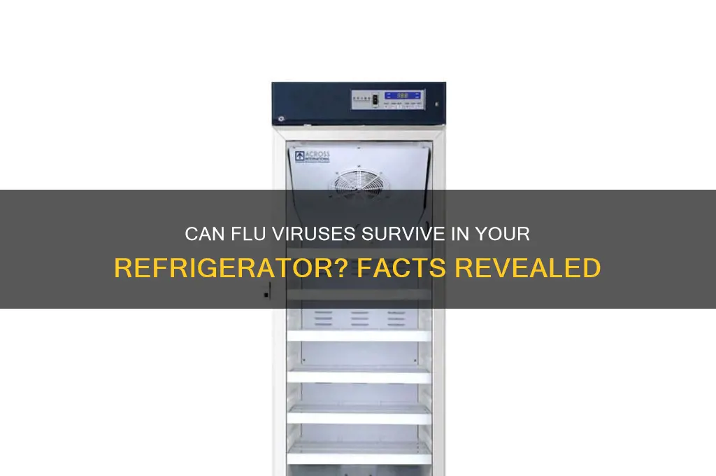 can the flu virus live in the refrigerator