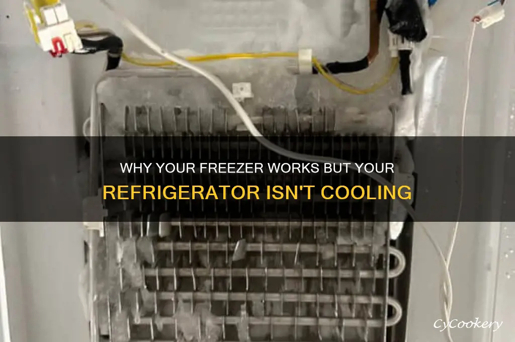 can the freezer work and not the refrigerator