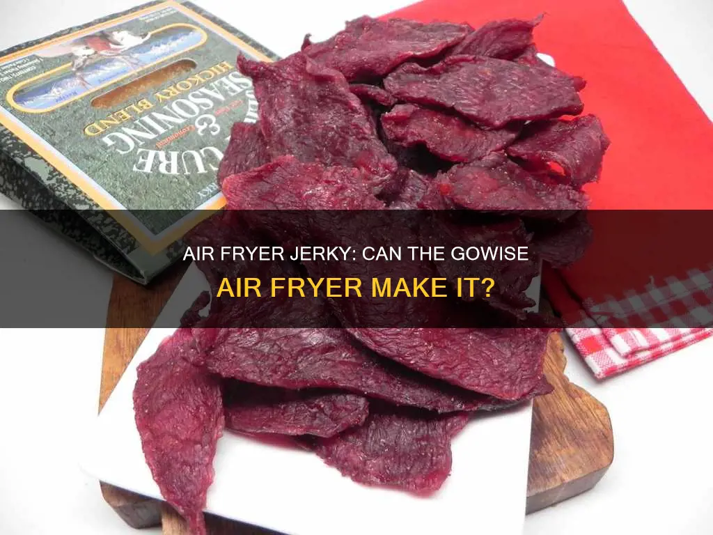 can the gowise air fryer be used to make jerkey