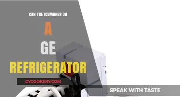 Can Your GE Refrigerator's Icemaker Be Repaired or Replaced?