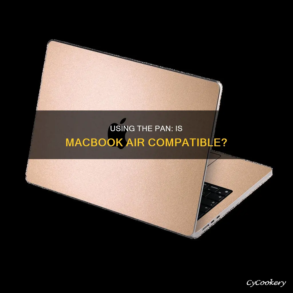 can the macbook air use the pan