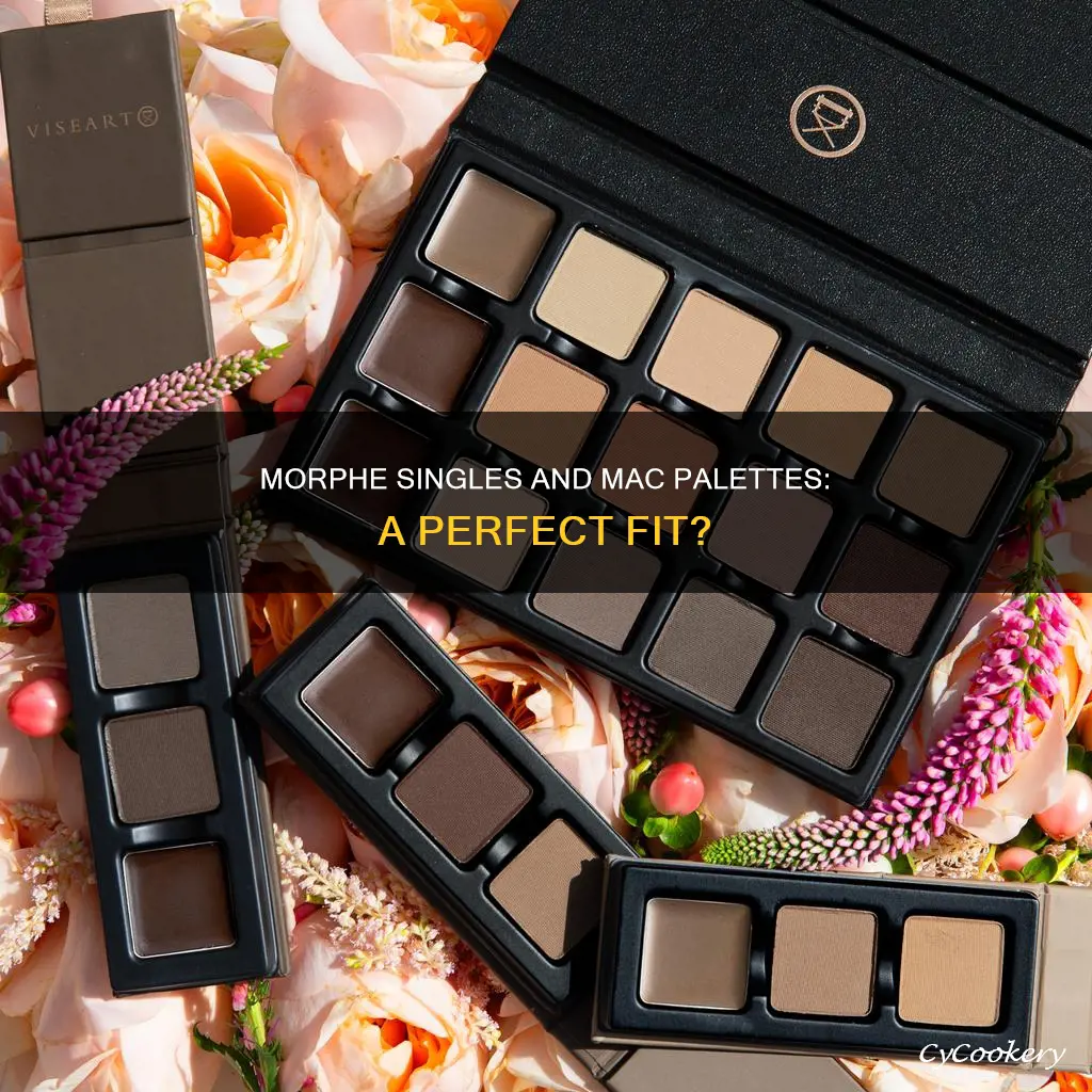 can the morphe single pans fit mac pallete