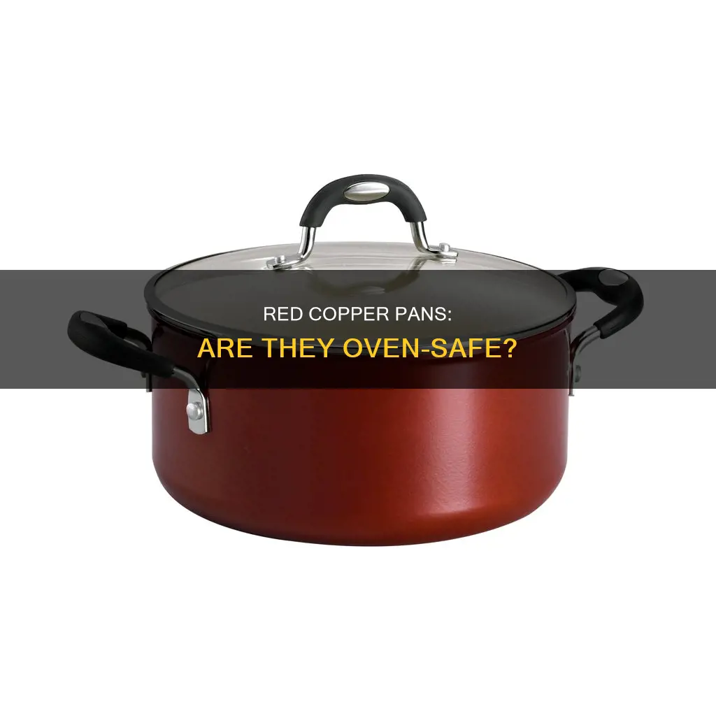 can the red copper pan go in the oven