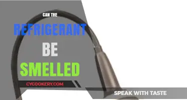 Can You Smell Refrigerant? Detecting Leaks and Safety Tips