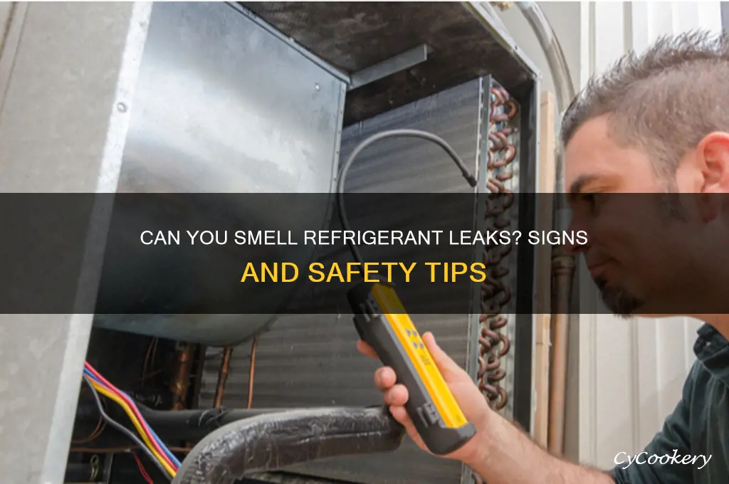 can the refrigerant besmelled