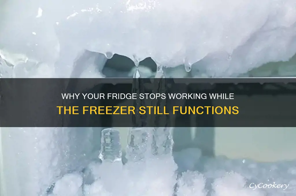 can the refrigerator not work but the freezer does
