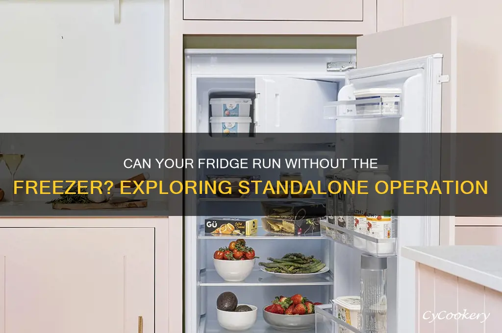can the refrigerator operate without the freezer