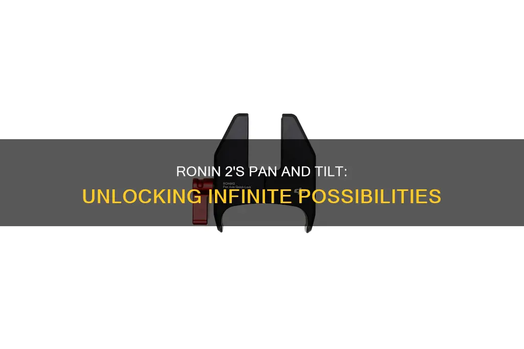 can the ronin 2 pan continuously
