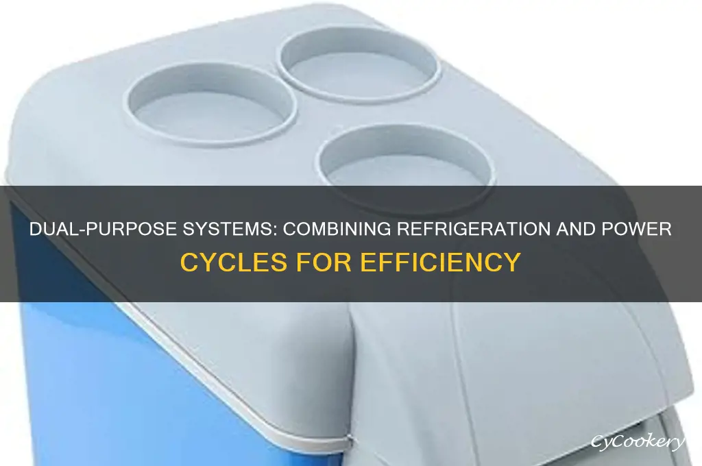 can the system be both refrigeration cycle and power cycle