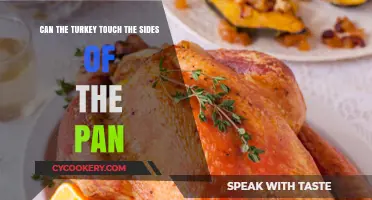 Turkey Roasting: Pan Size and Bird Safety