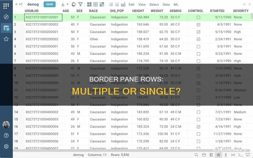 can there be multiple row in a border pane sectio