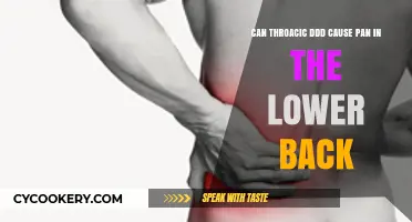 Thoracic DDD: Can It Cause Lower Back Pain?