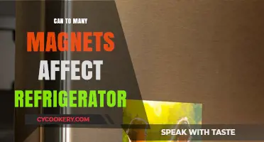 Can Excess Magnets Impact Your Refrigerator's Performance? Find Out Here
