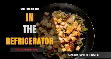 Does Tofu Spoil in the Fridge? Shelf Life Explained