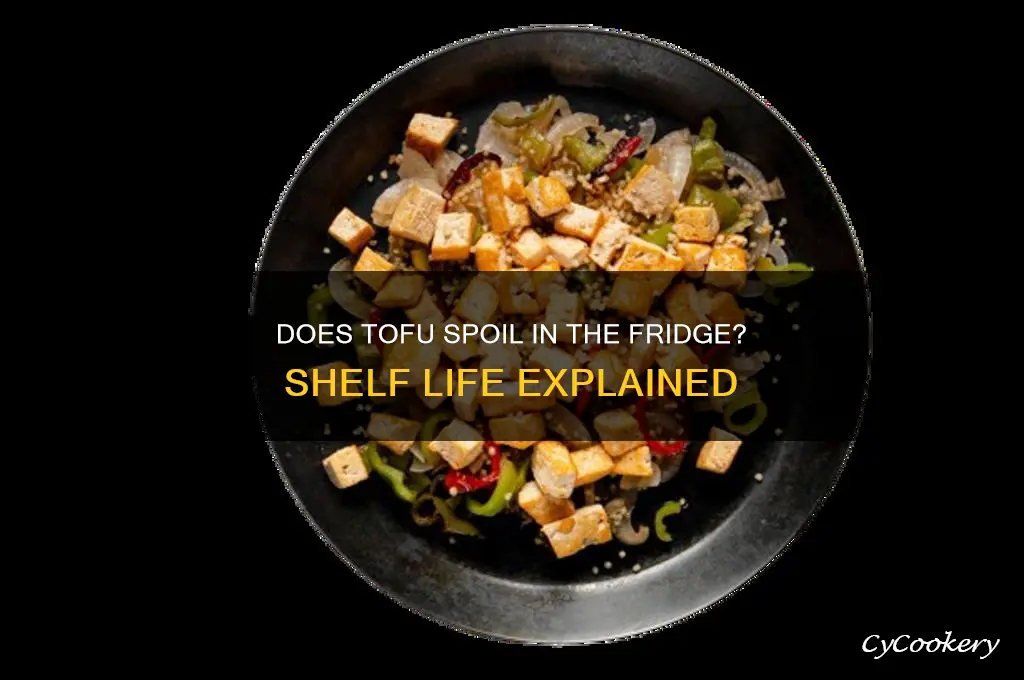 can tofu go bad in the refrigerator