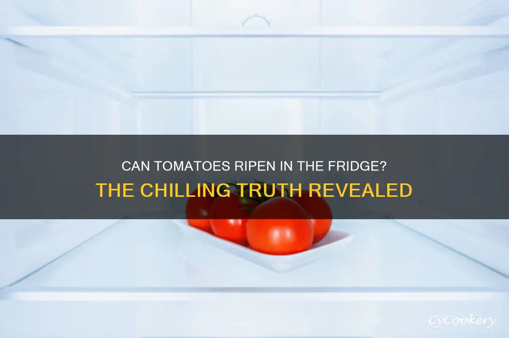 can tomatoes ripen in the refrigerator