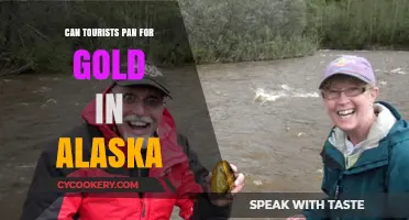 Gold Panning in Alaska: A Tourist's Dream?