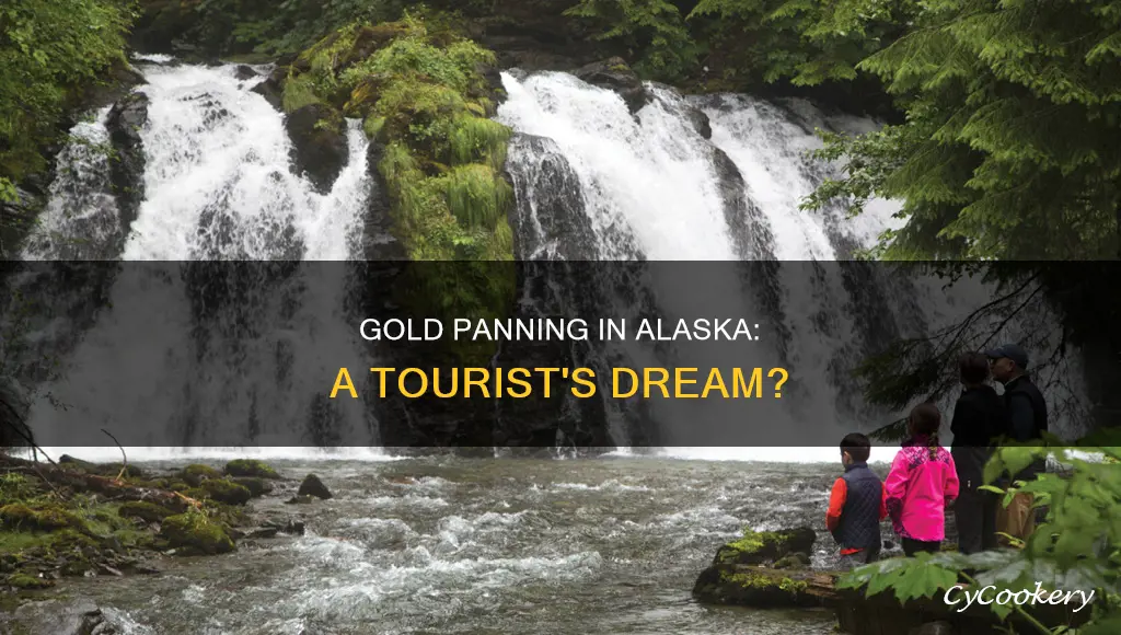 can tourists pan for gold in alaska