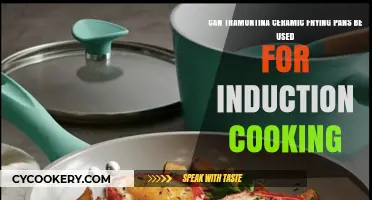Tramontina Ceramic Frying Pans: Induction-Ready?