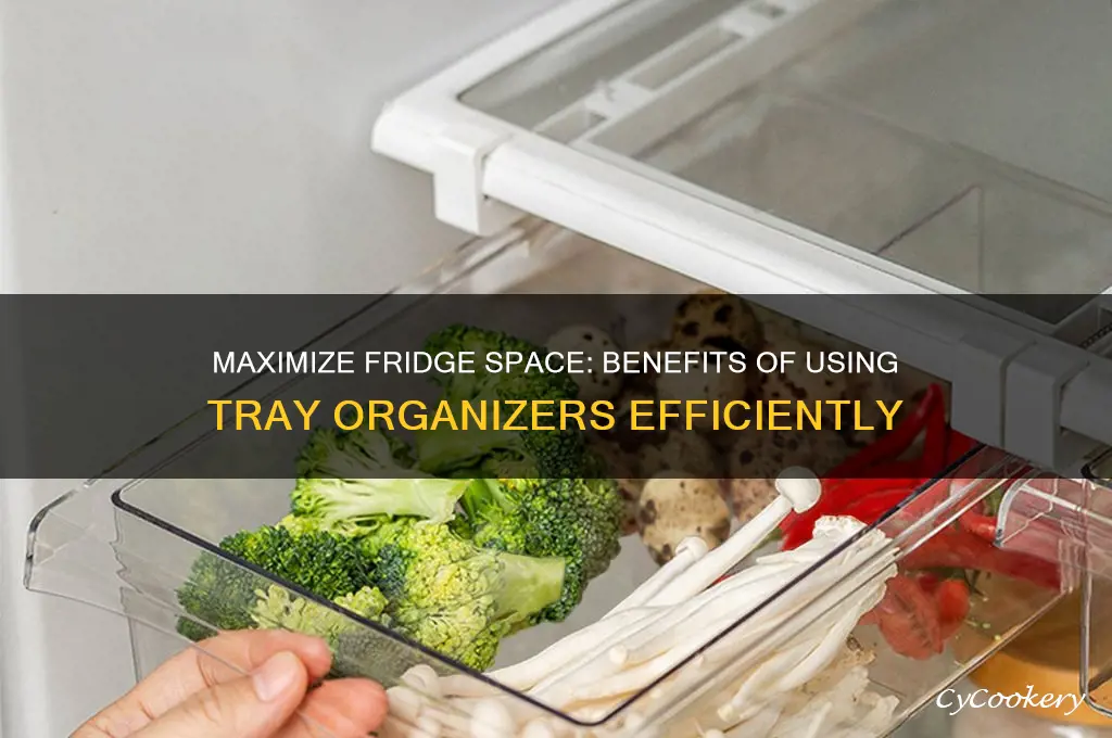 can tray organizers for refrigerators