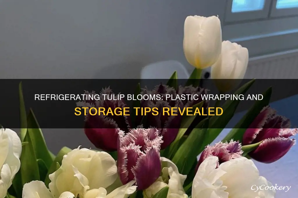 can tulip blooms be picked wrapped with plastic and refrigerated