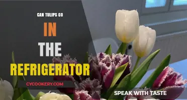 Can Tulips Be Refrigerated? Tips for Fresh, Long-Lasting Blooms