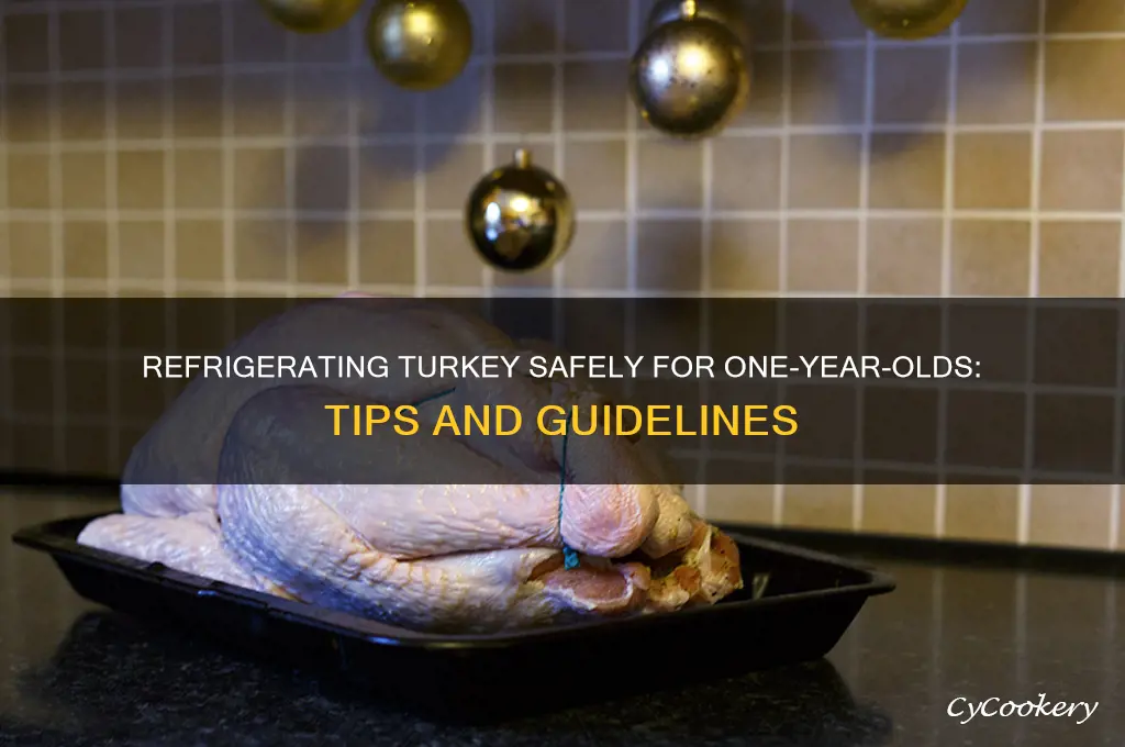 can turkey be refrigerated for one year old