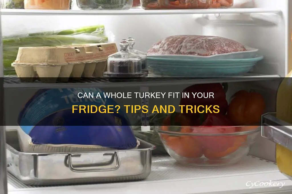 can turkey sit whole in refrigerator