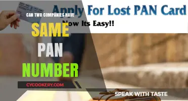 Two Companies, One PAN: Possible?