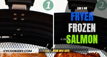 Air Fryer Magic: Frozen Salmon Perfection