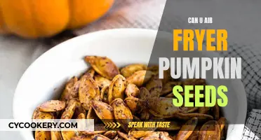 Air Fryer Pumpkin Seeds: A Healthy, Quick Treat