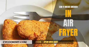 Breaded Chicken in an Air Fryer: How to Do It Right