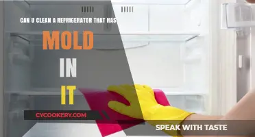 How to Safely Clean Mold from Your Refrigerator: A Step-by-Step Guide