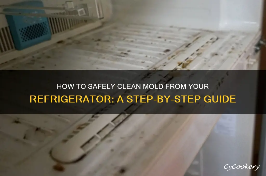 can u clean a refrigerator that has mold in it