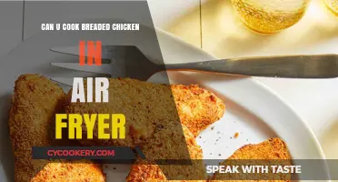 Crispy Air Fryer Breaded Chicken: Quick and Easy Recipe