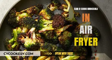 Air Fryer Broccoli: Quick, Healthy, Delicious!