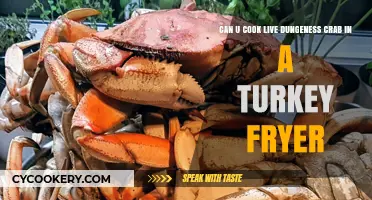 Cooking Live Dungeness Crab in a Turkey Fryer: A Guide