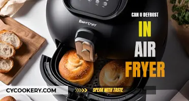 Defrosting in an Air Fryer: Is It Possible?