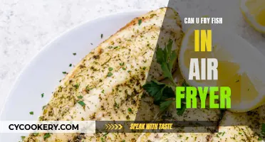 Frying Fish in an Air Fryer: Is It Possible?