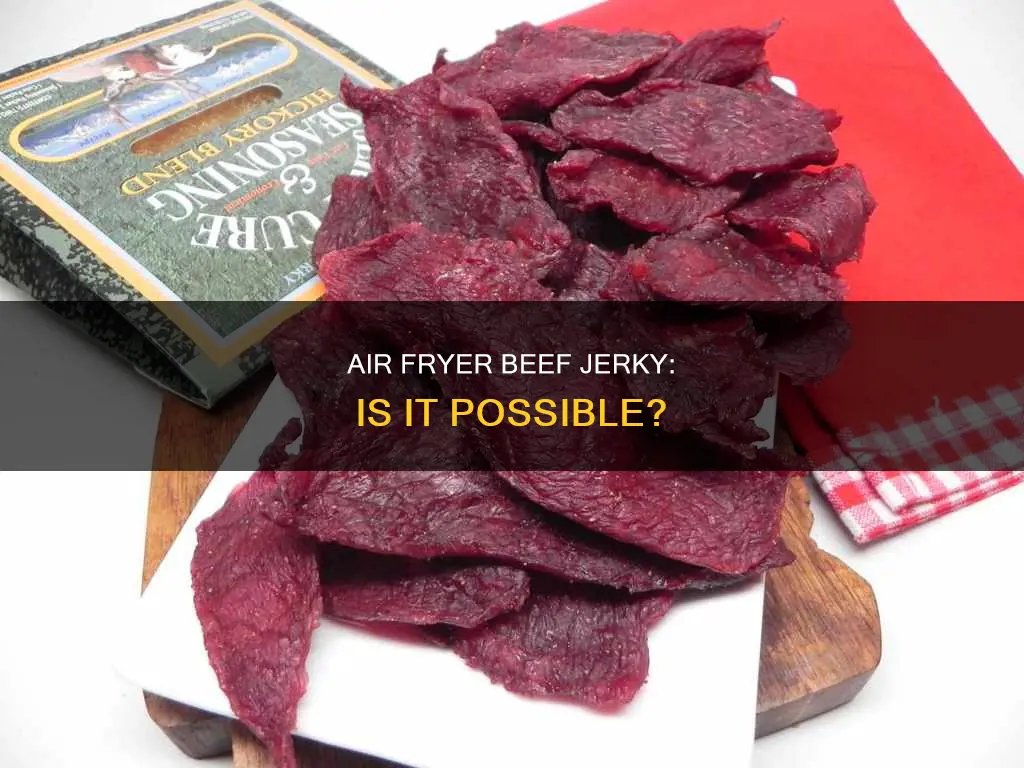 can u make beef jerky in an air fryer