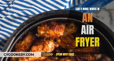 Air Fryer Chicken Wings: Can You Make Them?