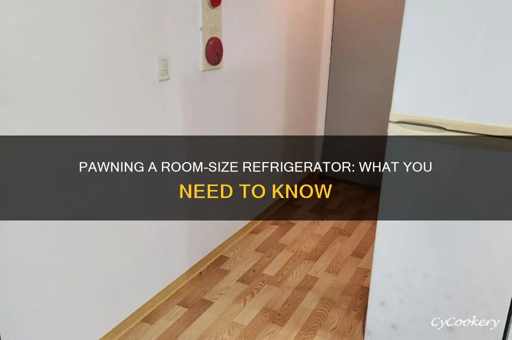 can u pawn a room size refrigerator