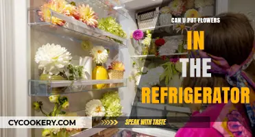 Chilling Blooms: Can You Safely Store Flowers in the Fridge?