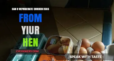 Refrigerating Fresh Chicken Eggs: Best Practices for Your Backyard Hens