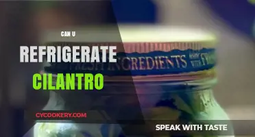 Refrigerating Cilantro: Best Practices to Keep It Fresh Longer