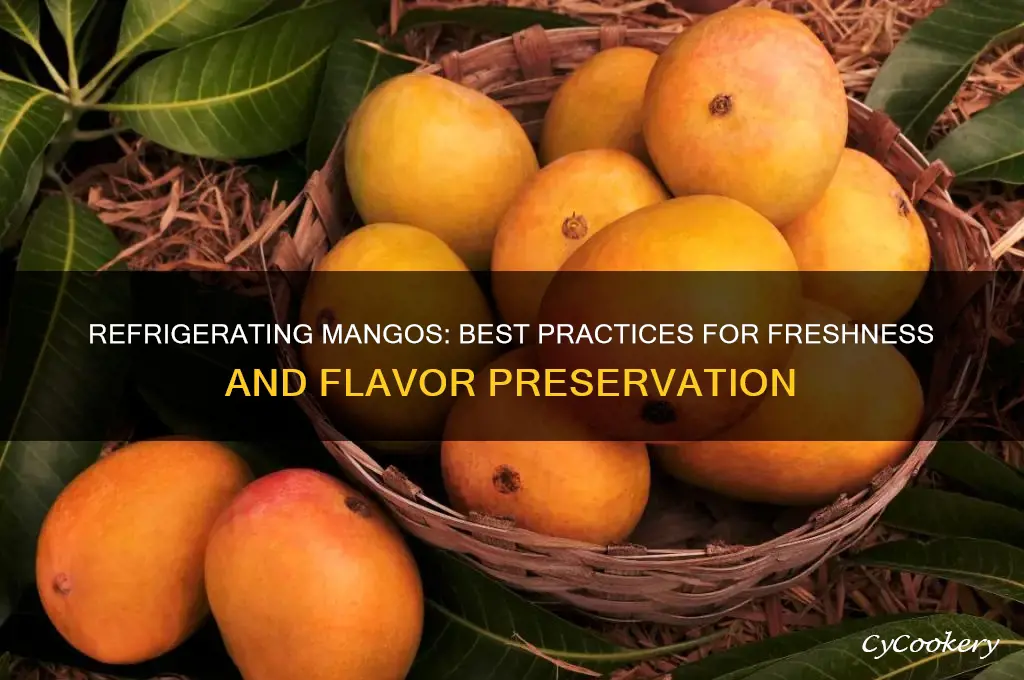 can u refrigerate mangos