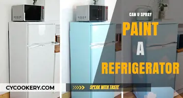 Can You Spray Paint a Refrigerator? DIY Tips and Tricks
