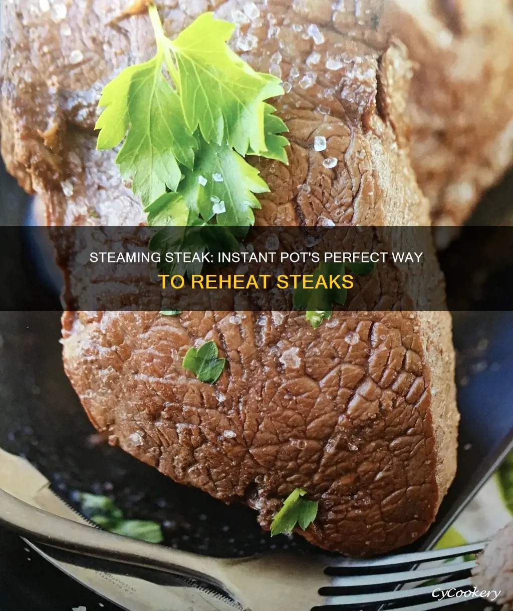 can u steam a cooked steak in instant pot